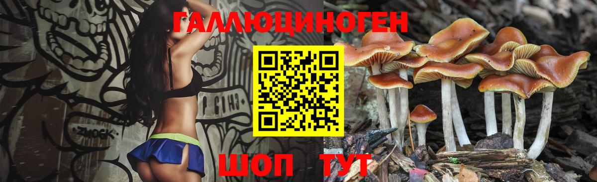 Галлюциногенные грибы мицелий  Галлюциногенные грибы MAGIC MUSHROOMS  Вход с VPN  Севастополь 